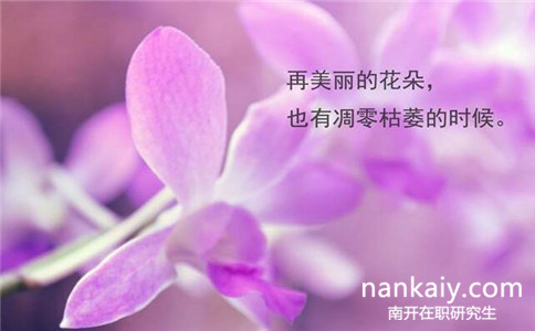 南開大學金融學院在職研究生招生情況