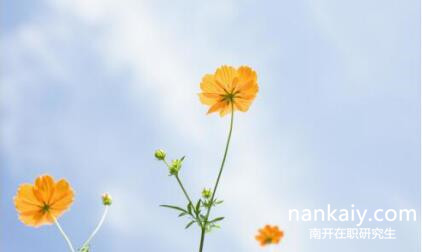 南開(kāi)大學(xué)在職研究生 南開(kāi)大學(xué)